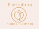 Flores Fujimoto Container